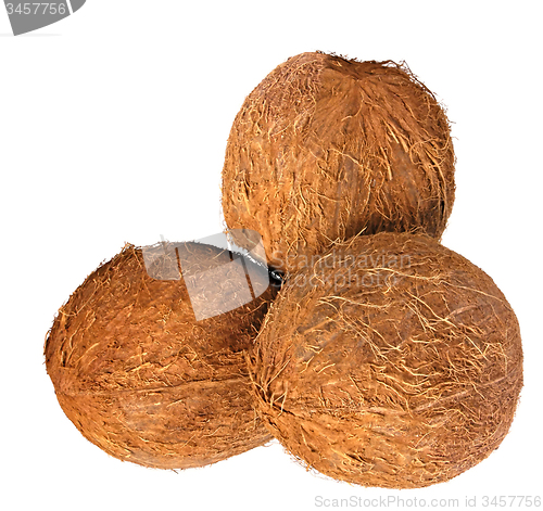 Image of coconuts