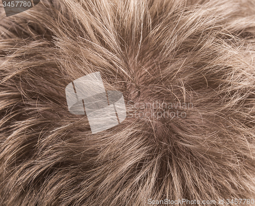 Image of Human Hair texture background