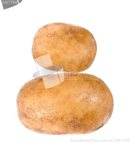 Image of potato isolated