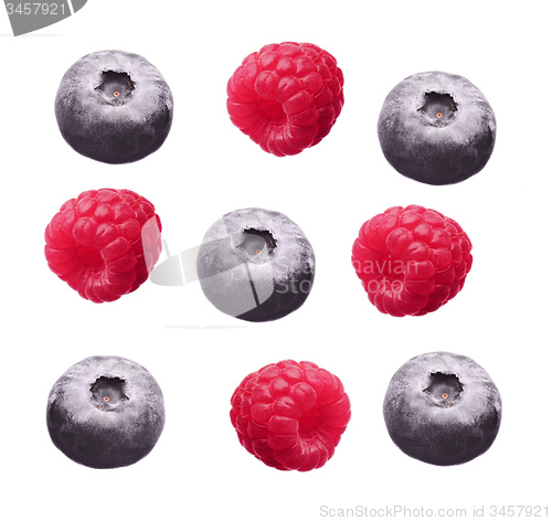 Image of Raspberry and blueberry