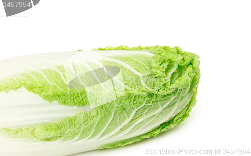 Image of Romain Lettuce close up