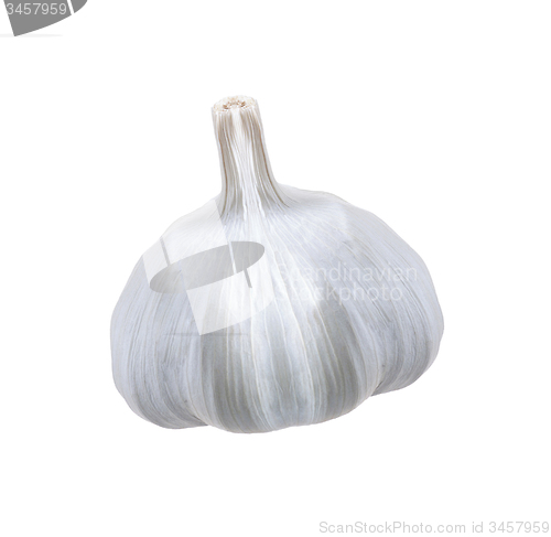 Image of Garlic isolated