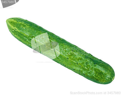 Image of Cucumber isolated