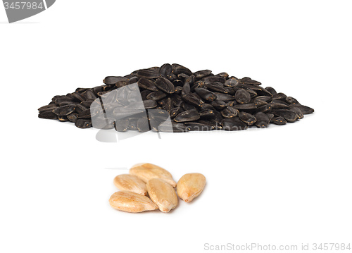 Image of pile of sunflower seeds