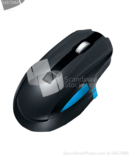 Image of black mouse