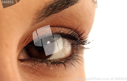 Image of Brown eye