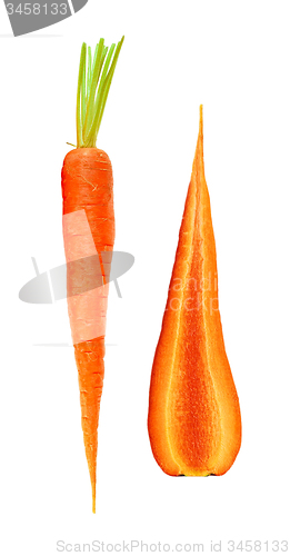 Image of fresh carrots isolated