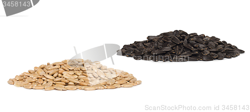 Image of fresh sunflower seeds isolated