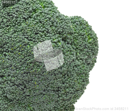 Image of close up of Broccoli