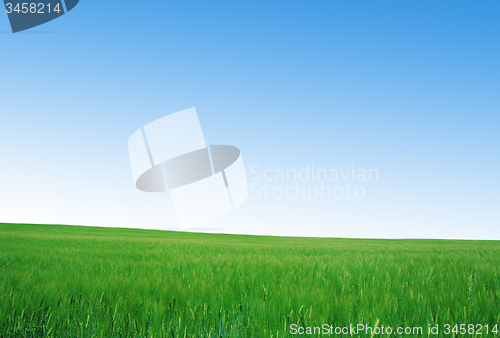 Image of green field and blue sky