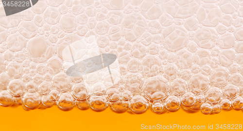 Image of Beer bubbles