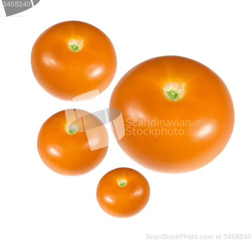 Image of yellow tomatoes isolated