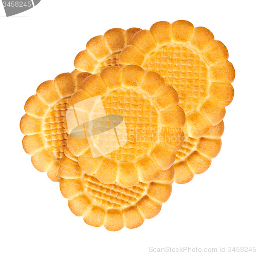 Image of Biscuit isolated