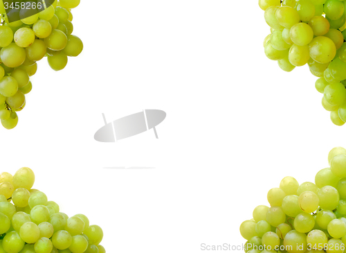 Image of white grape