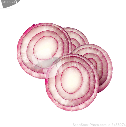 Image of Sliced fresh red onion isolated