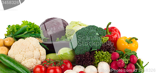 Image of fresh vegetables on the white background