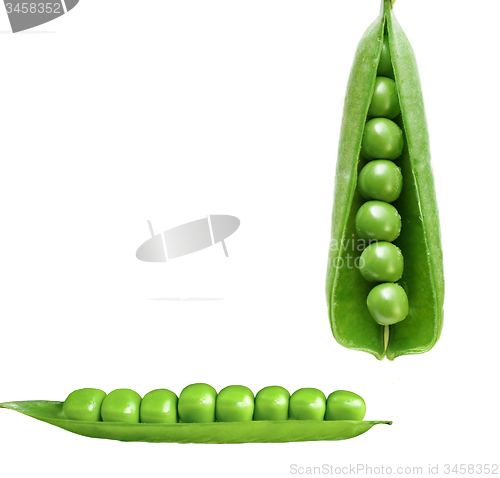 Image of peas isolated on white