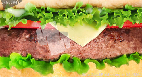 Image of Big hamburger on white background