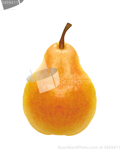 Image of fresh pear