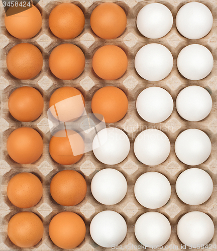 Image of white and brown eggs in the box