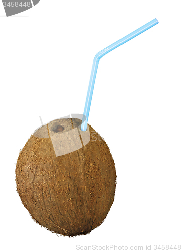 Image of coconut isolated