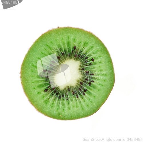 Image of Slice of fresh kiwi fruit 