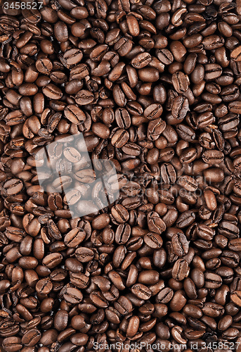 Image of roasted coffee beans