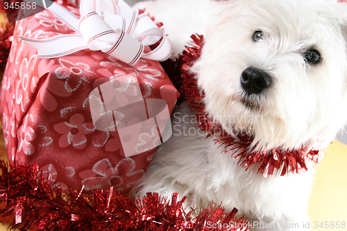 Image of Santa claus