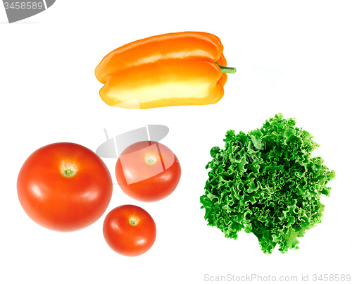 Image of tomatoes, bell peppers,  lettuce