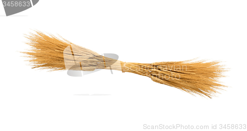 Image of Wheat ears isolated 