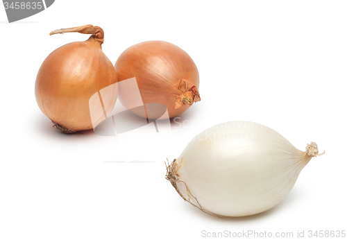 Image of Ripe onions