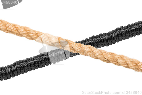 Image of black cordage - on white