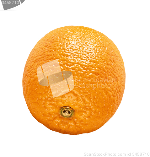 Image of Orange isolated