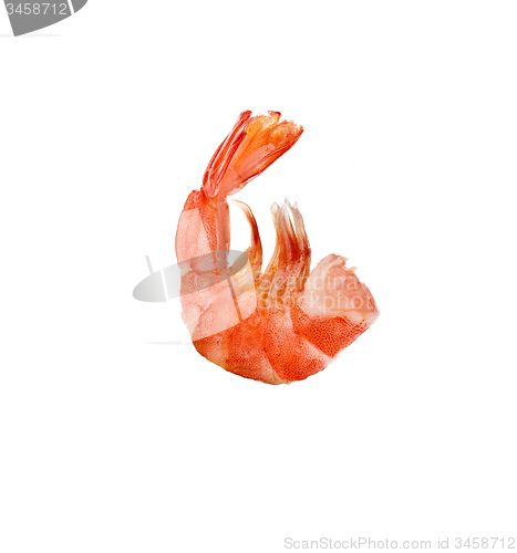 Image of tiger shrimp isolated on white