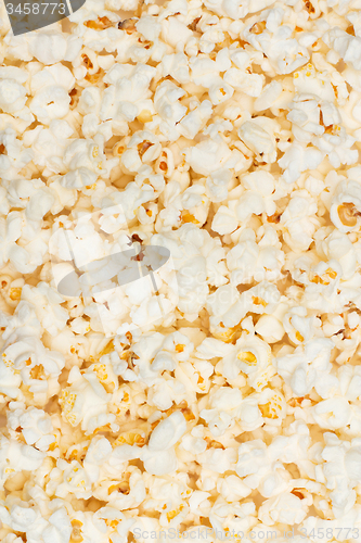 Image of Salted popcorn grains