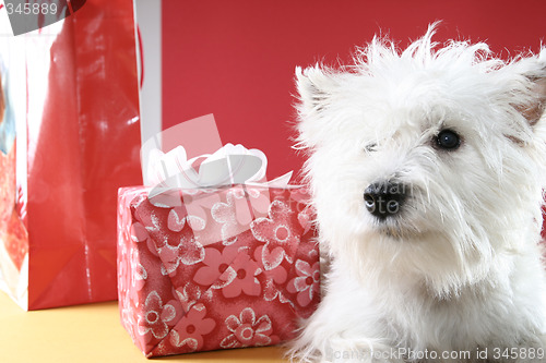Image of Santa claus