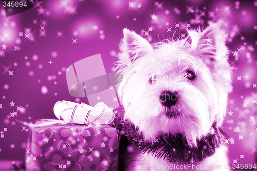 Image of Santa claus