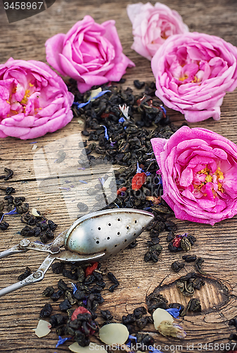 Image of tea rose buds