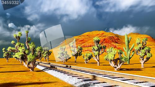 Image of Joshua trees on desert