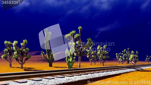 Image of Joshua trees on desert