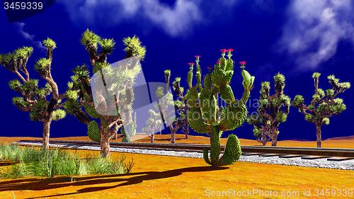 Image of Joshua trees on desert