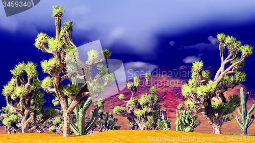 Image of Joshua trees on desert