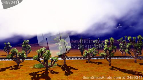 Image of Joshua trees on desert