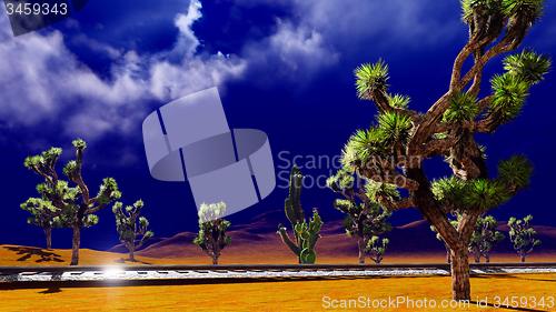 Image of Joshua trees on desert