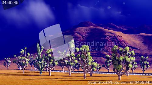 Image of Joshua trees on desert