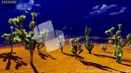 Image of Joshua trees on desert