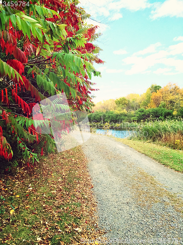 Image of Country road and colorful autumn trees 