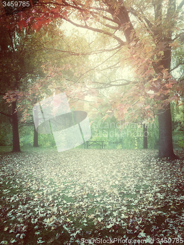 Image of Hazy autumn day in a park