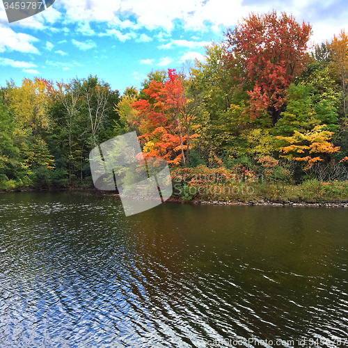 Image of Autumn trees on a lakeshore