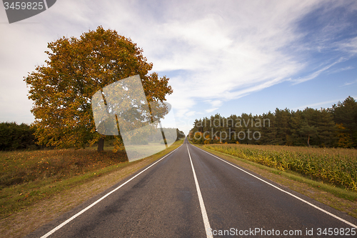 Image of the autumn road  